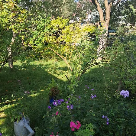 Przytulia Blekitny Kopaniec