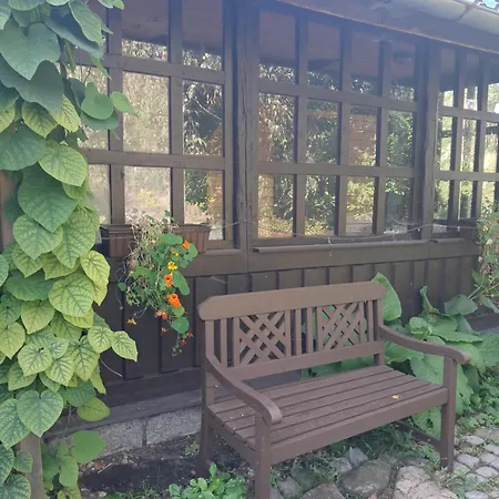 Przytulia Blekitny *