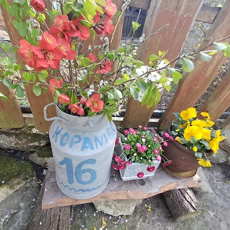 Lägenhet Przytulia Blekitny Kopaniec