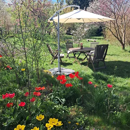 Przytulia Blekitny Lägenhet