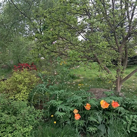 Przytulia Blekitny Διαμέρισμα Kopaniec