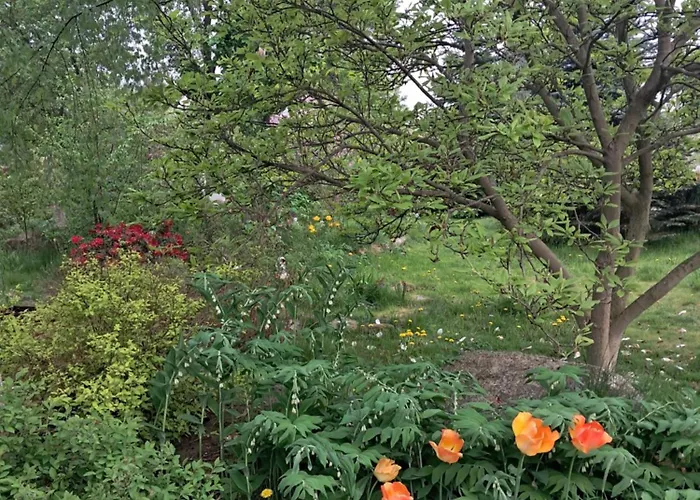 Przytulia Blekitny Apartmán Kopaniec